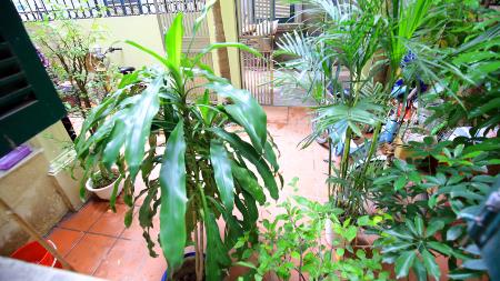 Front yard 3 bedroom house in Xuan Dieu, Tay Ho, Hanoi